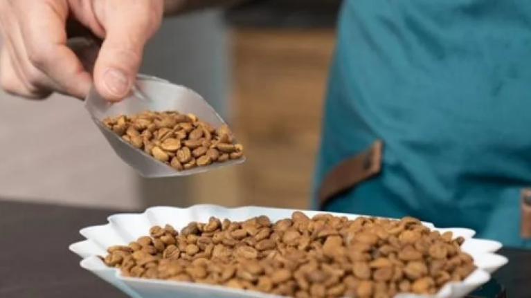 A person scoops dog food from a bowl, preparing to feed their pet with care and attention.